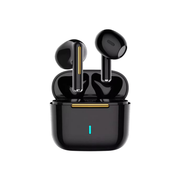 Black Earbuds